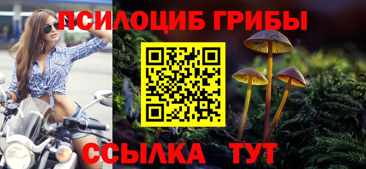 Кувандык  Псилоцибиновые грибы Magic Shrooms  Вход с VPN 