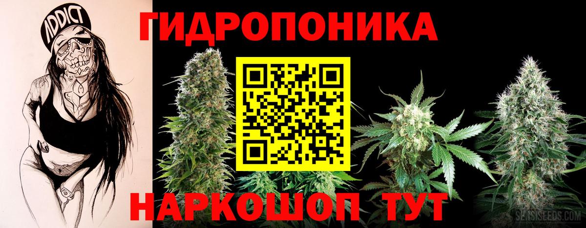 Марихуана MAZAR  Вход с VPN  Кувандык  Шишки марихуана ГИДРОПОН  Бошки Шишки сатива 